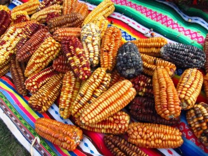 431270_476728109013714_1692159123_n