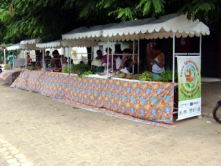 Feira_Agroecologica_e_de_ecosol_de_S_o_Miguel_do_Gostoso_Foto_Rodrigo_Sena_15_